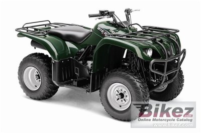 2009 Yamaha Big Bear 250 photo